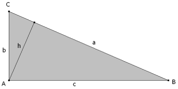 Triángulo rectángulo